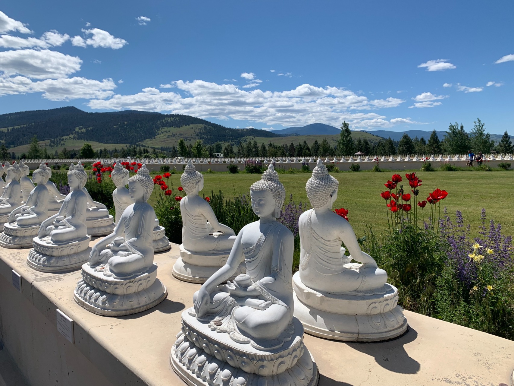 Buddha landscape